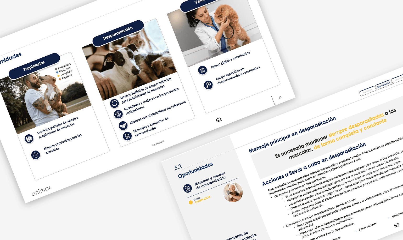 Proyecto propietarios de mascotas
